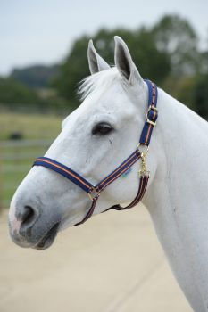 Bucas Halfter Dublin Cob