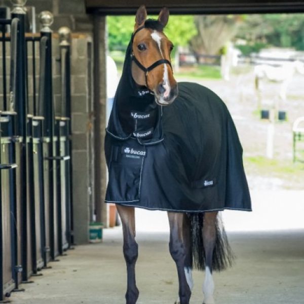 Bucas Power Cooler Full Neck