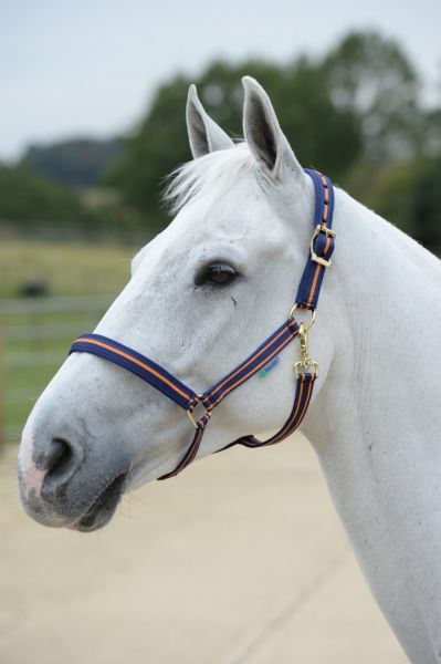 Bucas Halfter Dublin Cob